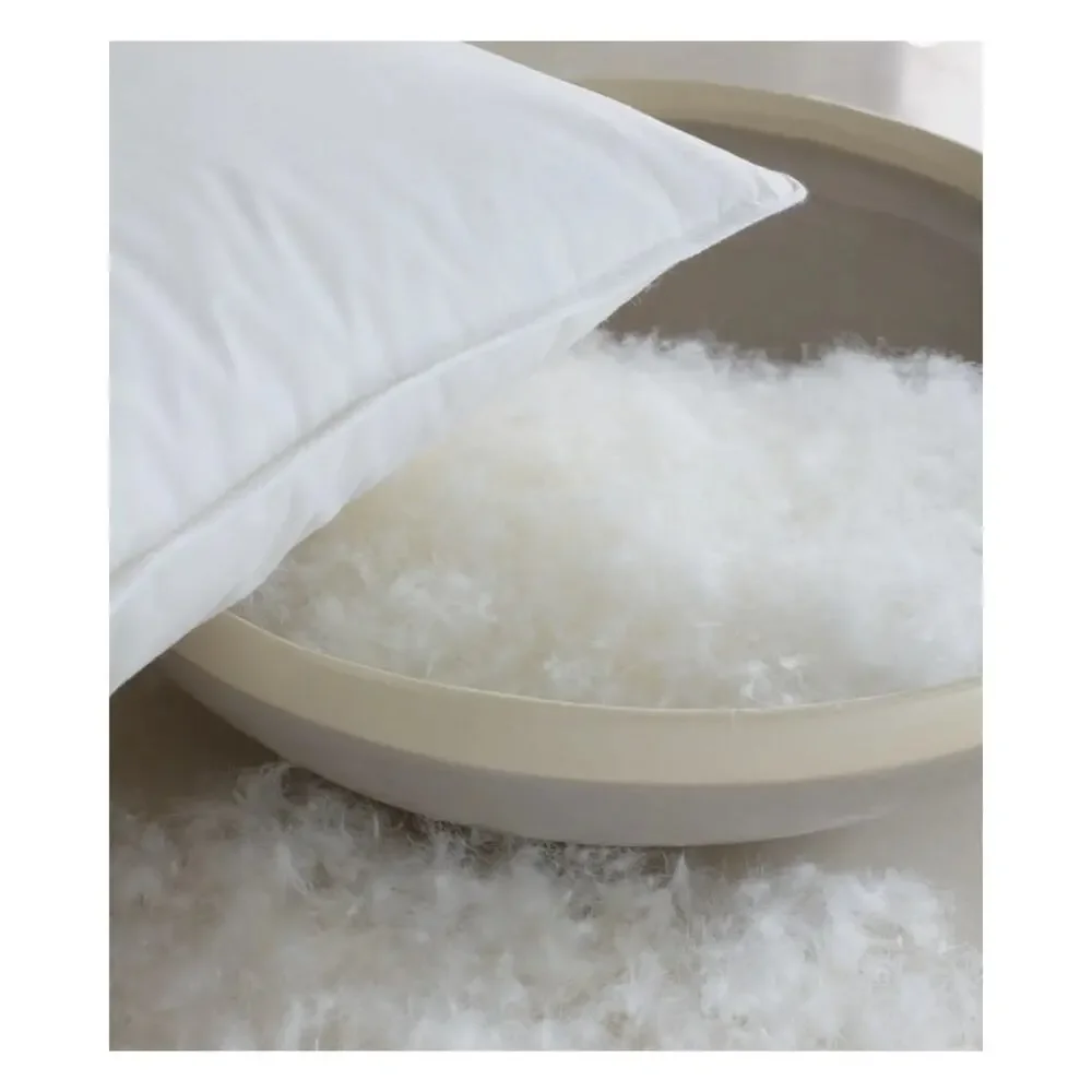 Quince Luxe King Size Goose Down Soft Pillow - NEW